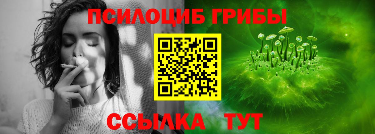 продажа наркотиков  Вход с VPN  Большой Камень  Псилоцибиновые грибы Psilocybine cubensis 